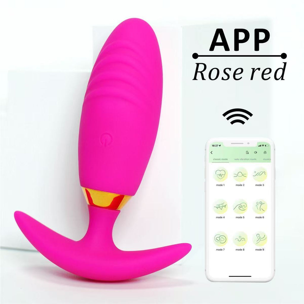Remote Control & App-Control Vibrating Anal Plug